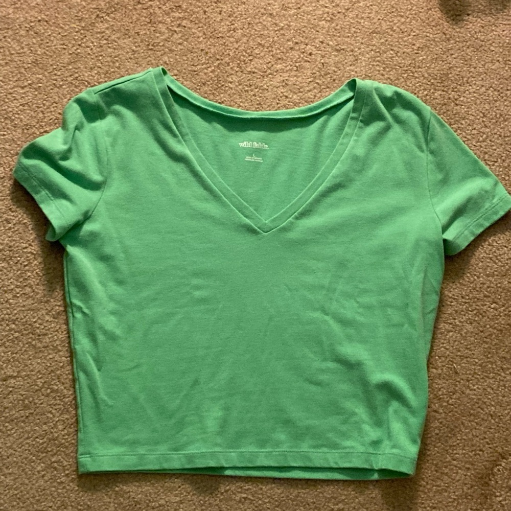 NWOT Wild Fable Green Crop top